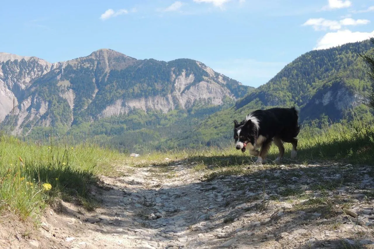 Le Colombier Bed & Breakfast Glandage